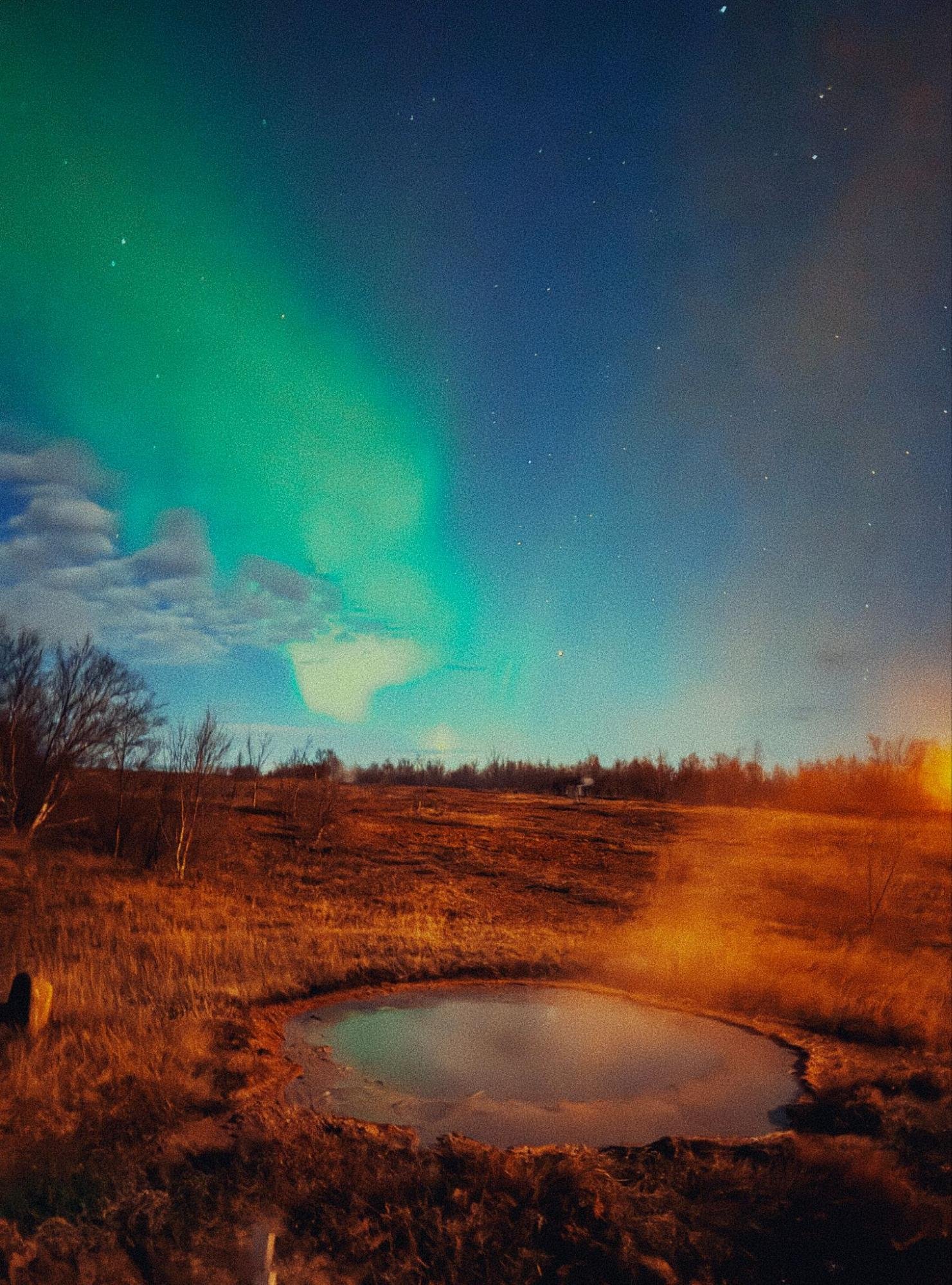 Northern lights over a steaming hot spring and golden grass at night in Iceland